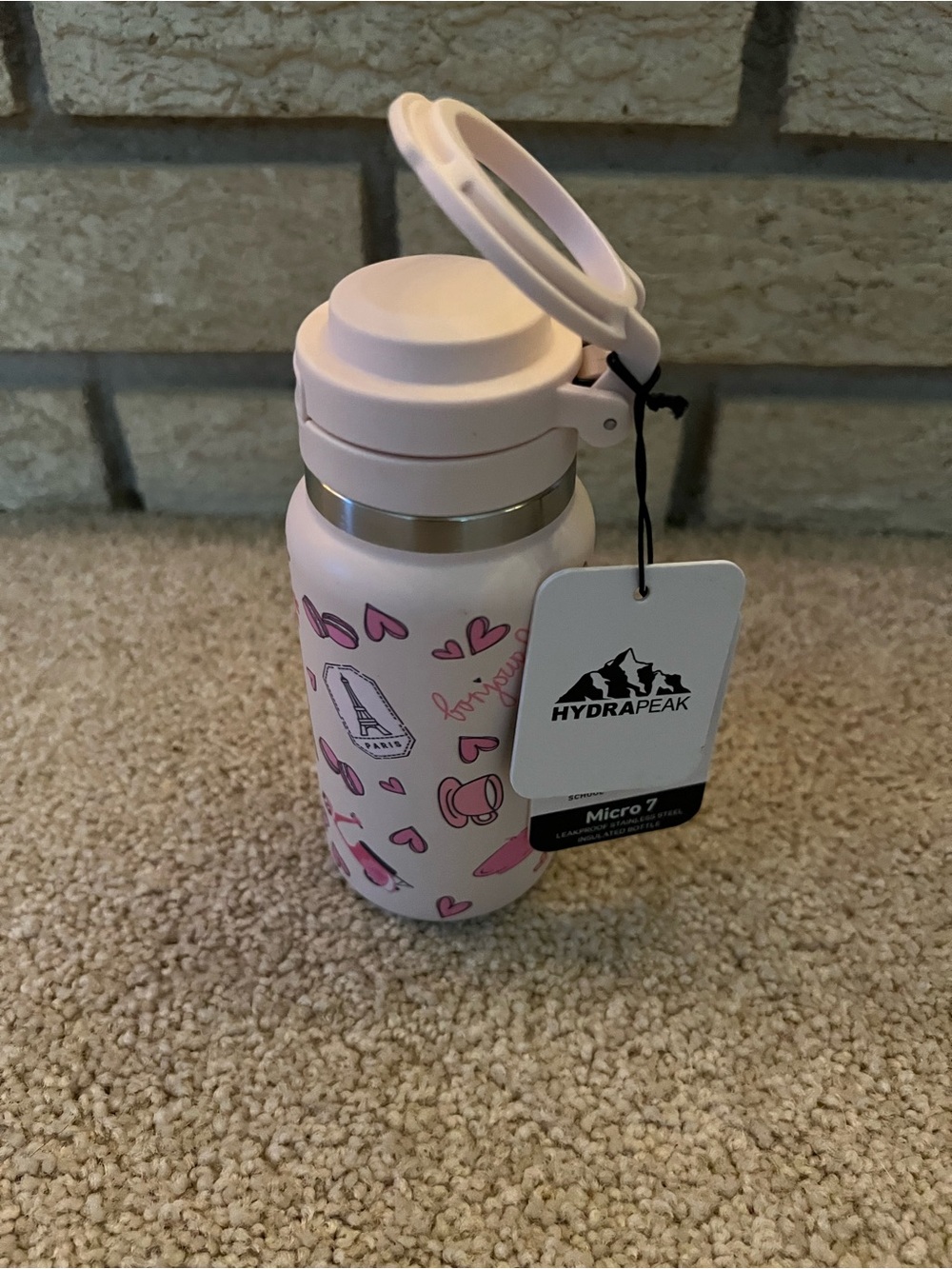 Hydrapeak Micro 7 oz. Pastel Pink & Dark Pink Paris Theme Insulated Water Bottle